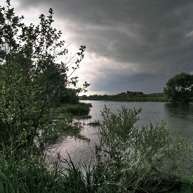 stormwater-management-in-a-changing-climate-looking-to-nature-for